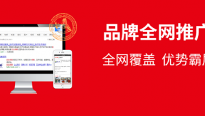 长沙网络策划推广-网友赵德柱的博客