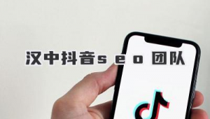 汉中市SEO