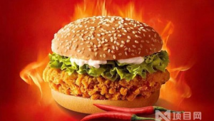 汉堡加盟网络推广方案-网友赵德柱的博客