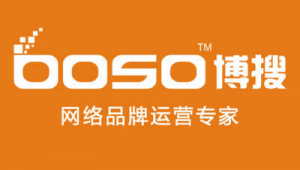 大丰网络推广公司