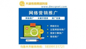 博尔塔拉网络推广