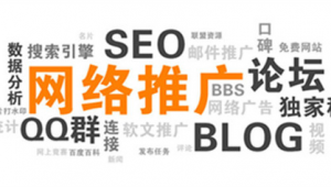 网络推广的这位-网友赵德柱的博客