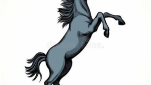 没有排名的网络推广-网友赵德柱的博客