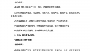 网络推广seo岗位职责-网友赵德柱的博客