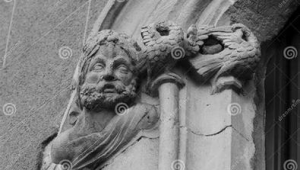 网站网络推广服务