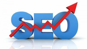 seo网络推广招聘信息-网友赵德柱的博客