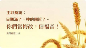 特许经营网络推广策略-网友赵德柱的博客