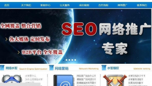 网络推广的seo-网友赵德柱的博客