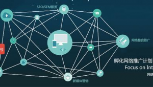 青岛网络推广方案-网友赵德柱的博客