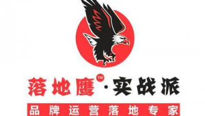 落地鹰和网络推广公司-网友赵德柱的博客