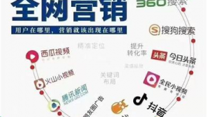 福州网络推广与seo优化