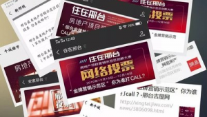 网络投票推广-网友赵德柱的博客