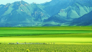 分宜网络营销推广-网友赵德柱的博客