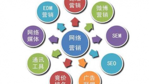 企业网络推广代运营-网友赵德柱的博客