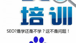 长沙企业网络推广seo-网友赵德柱的博客