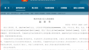 株洲公司网络推广-网友赵德柱的博客