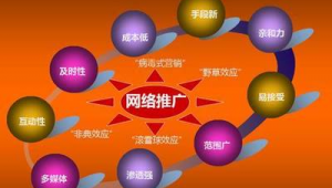 网络推广方案17-网友赵德柱的博客