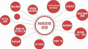 新兴网络推广步骤-网友赵德柱的博客