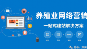 一站式网络推广怎么做-网友赵德柱的博客