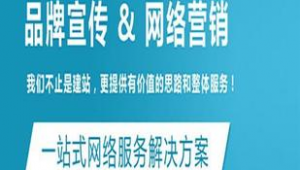 盐田网络推广