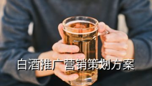 白酒网络营销推广方案-网友赵德柱的博客