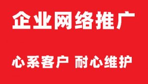 安庆网络推广