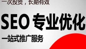 深圳市百度seo