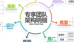 淘宝客服网络推广-网友赵德柱的博客