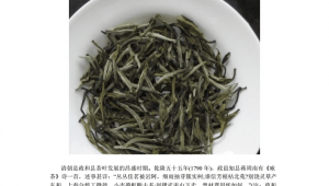 白茶品牌网络推广方案