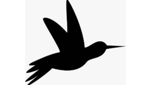 昆明网络推广熊掌号-网友赵德柱的博客