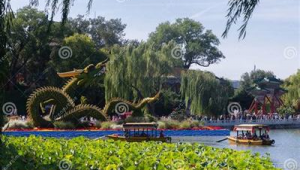 网络服务网络推广