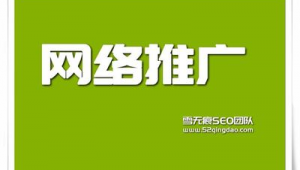 安阳网络推广团队-网友赵德柱的博客