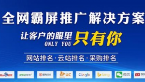 四川 网络如何推广-网友赵德柱的博客