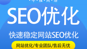 西安seo和网络推广-网友赵德柱的博客