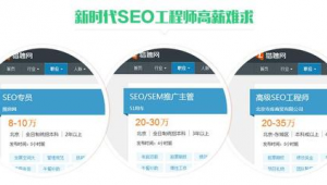 seo网络推广专员薪资-网友赵德柱的博客