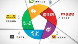 自媒体的发展-网友赵德柱的博客