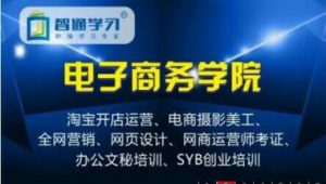 网络推广运营师-网友赵德柱的博客