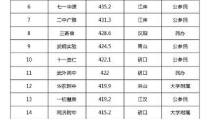 武汉市做百度排名