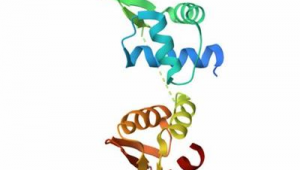 网络推广投放计划-网友赵德柱的博客