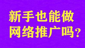 网络推广真的很悬乎吗-网友赵德柱的博客