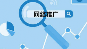 网络推广的精准引流-网友赵德柱的博客