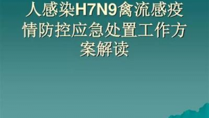 德阳市网络推广