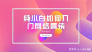 小白如何做网络推广-网友赵德柱的博客