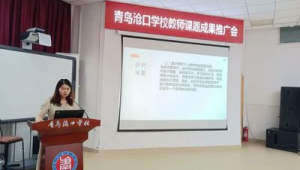 青岛seo网络推广策略-网友赵德柱的博客