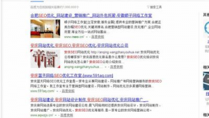 安庆seo网络推广平台-网友赵德柱的博客