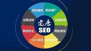 网络营销站外推广-网友赵德柱的博客