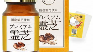 山东本地网络推广-网友赵德柱的博客