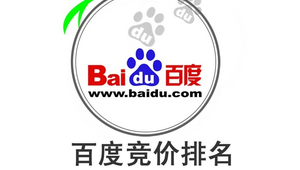 淄博百度网络推广-网友赵德柱的博客