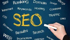 SEO专员/网络推广-网友赵德柱的博客