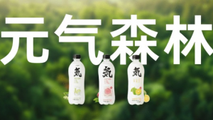 元气森林网络推广方案-网友赵德柱的博客